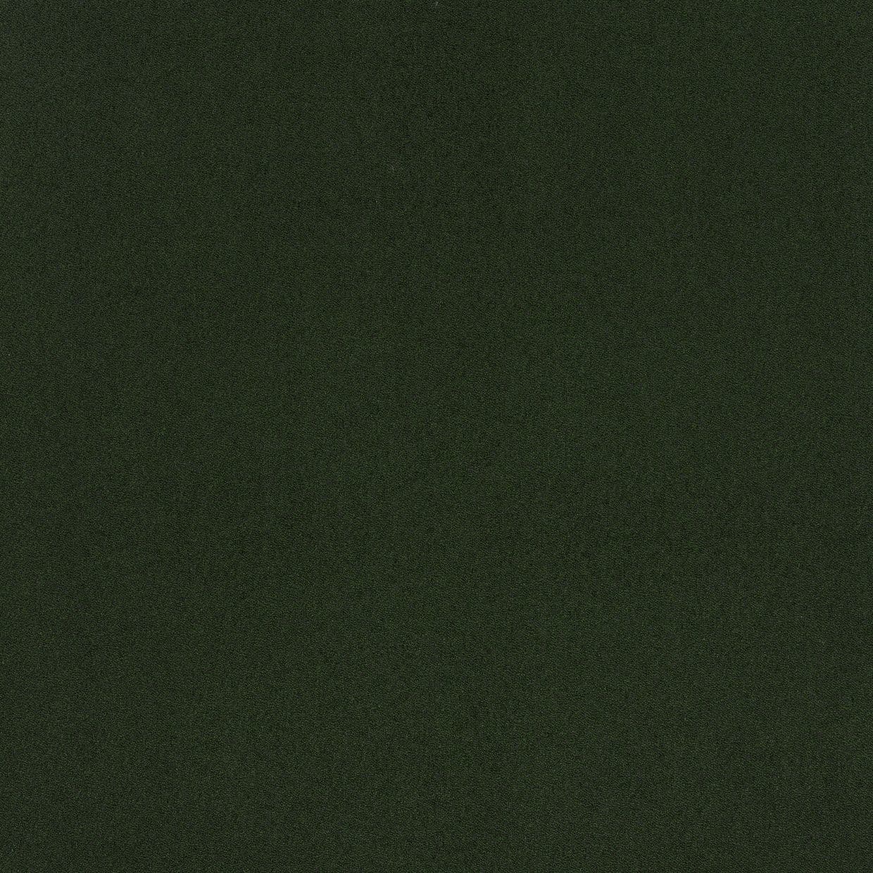 Dark olive-green, finely grainy surface filling the entire frame; uniformly mottled texture with subtle speckling, no discernible objects or light sources, appearing as a flat background.