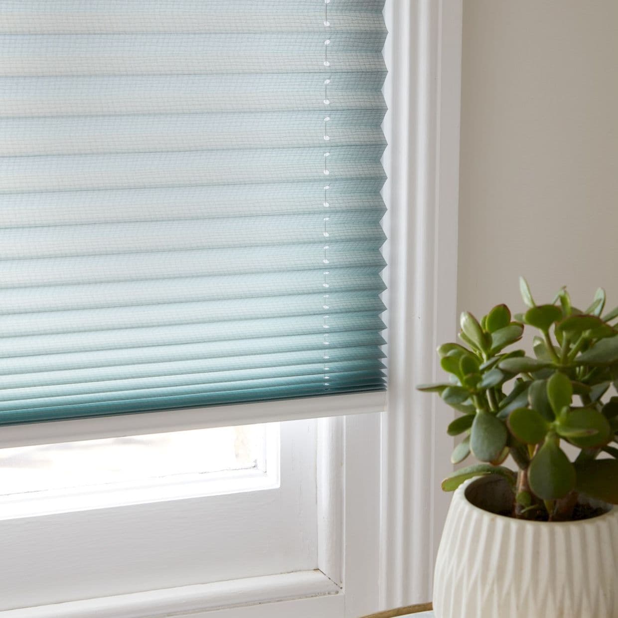 Pale blue pleated cellular blind lowered and closed, showing honeycomb texture, filtering soft daylight through a white window frame; a potted succulent sits on the sill.
