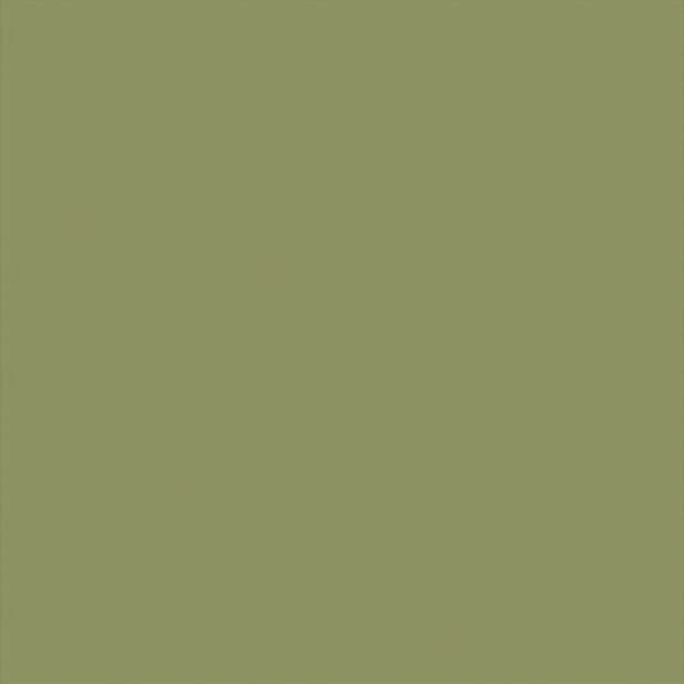 Olive-green panel fills the entire frame, displaying a uniform, untextured surface; plain, featureless field under neutral lighting with no visible surroundings.