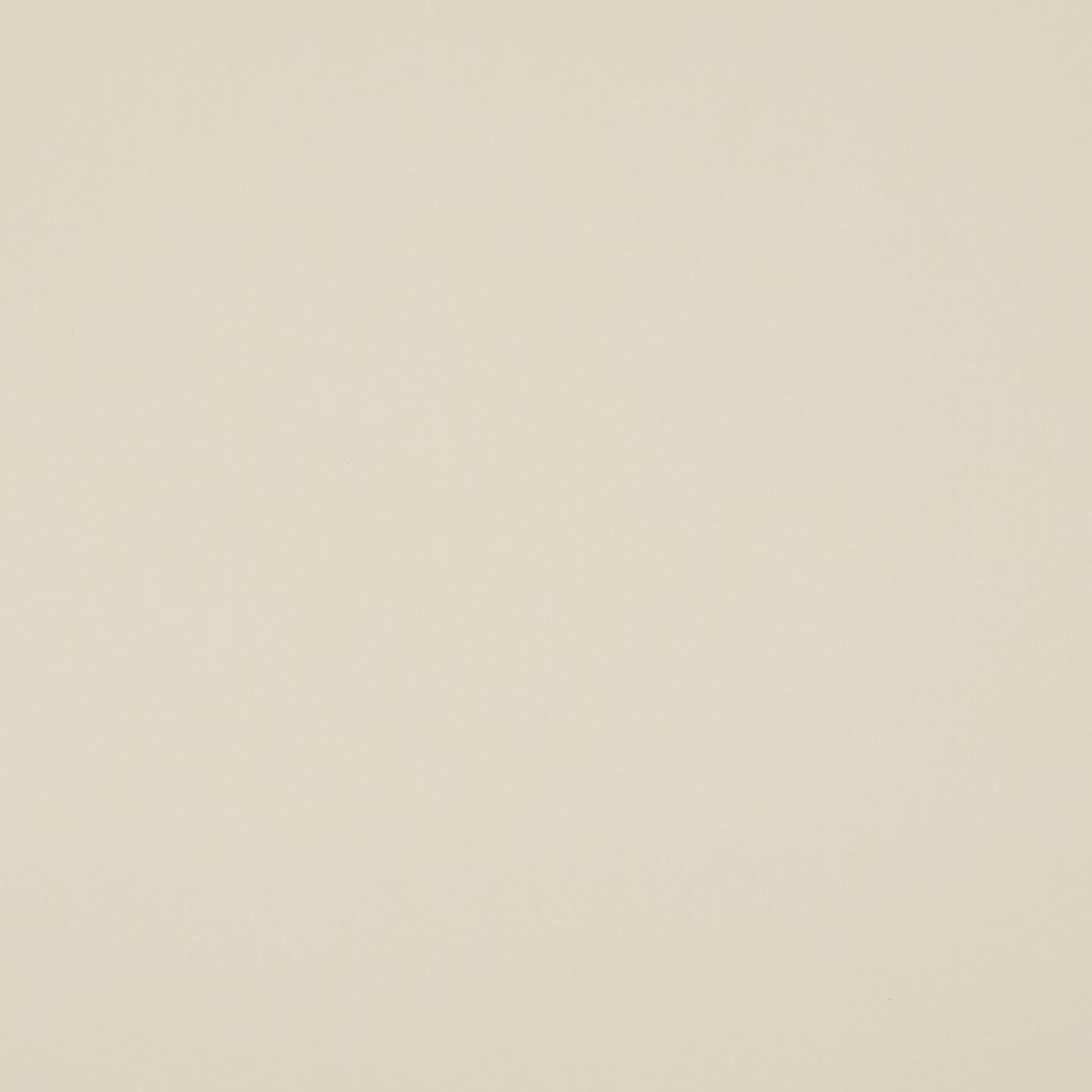Beige flat surface â€” uniformly smooth and featureless â€” fills the frame; close-up view with soft, even neutral lighting and minimal texture or shadow.