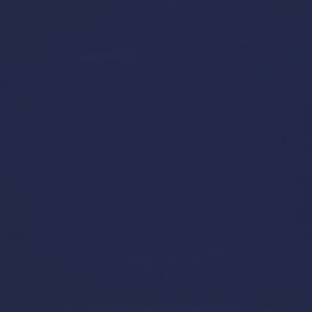 Solid navy-blue expanse fills the frame, uniformly colored and featureless, creating a flat, evenly lit field with no discernible objects, edges, or surrounding context visible.