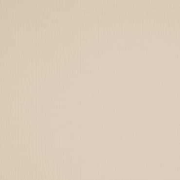 Beige textured wall covering centered in frame, showing fine vertical striations and subtle color variation; fills the frame under soft, even lighting, suggesting a neutral interior surface.