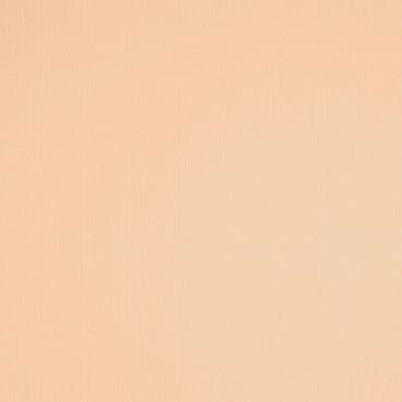Plain peach-colored rectangular surface with subtle vertical texture, uniformly lit and static, occupying the entire frame; no discernible objects, shadows, or depth, resembling a painted wall or sheet.