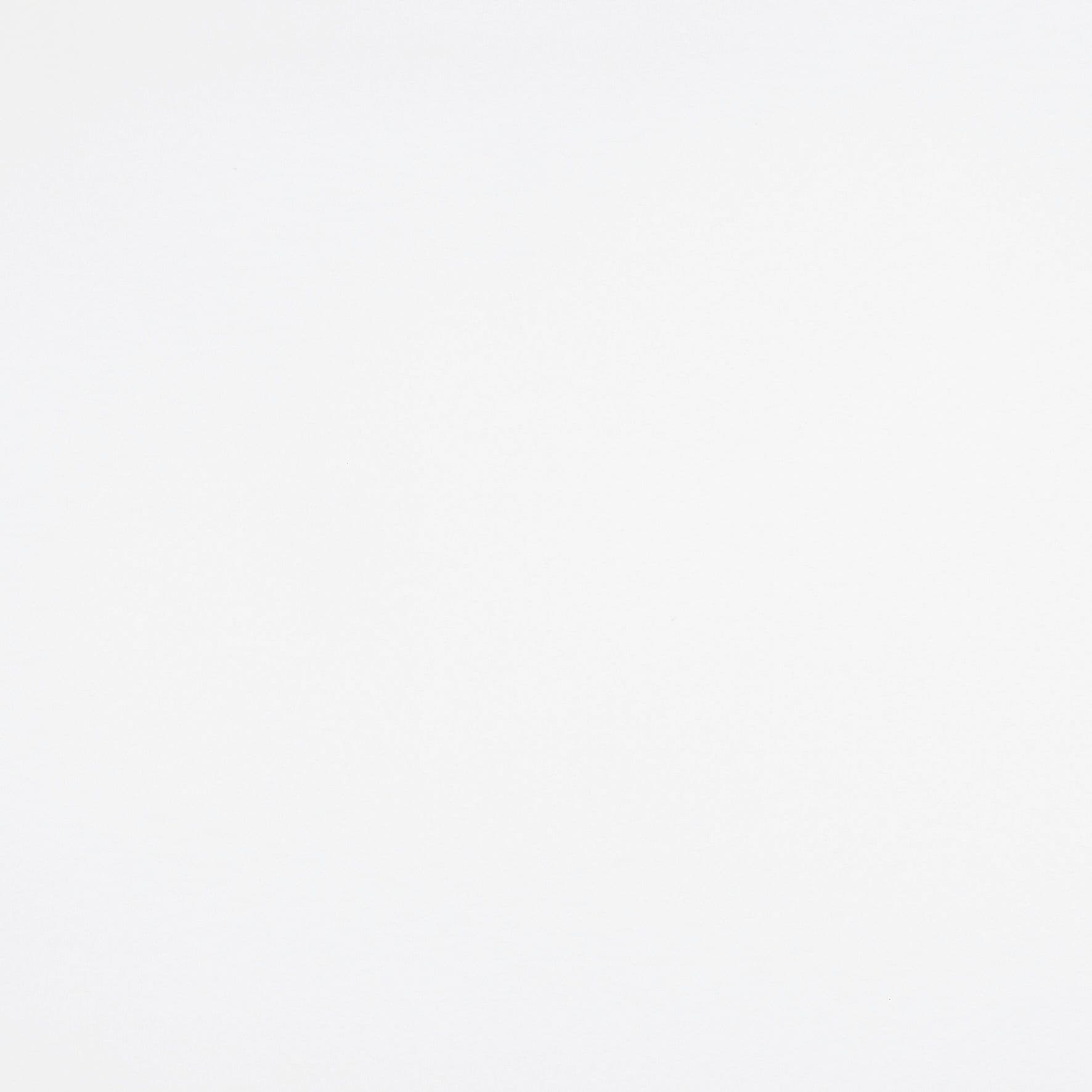 Plain white square surface centered in frame, flat and featureless; exhibiting smooth texture and even illumination; neutral, shadow-free background resembling a blank sheet or wall.