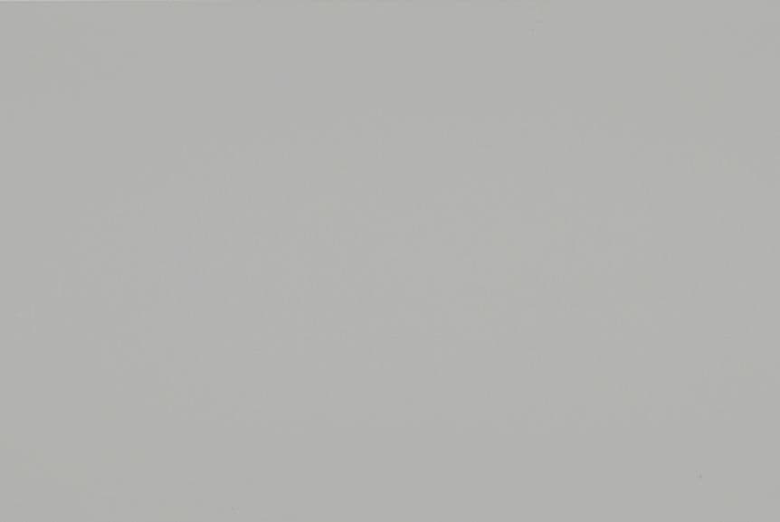 Uniform light-gray wall (object) covering the entire frame and appearing featureless and matte (action); diffuse even lighting with no discernible fixtures, shadows, or room context (context).