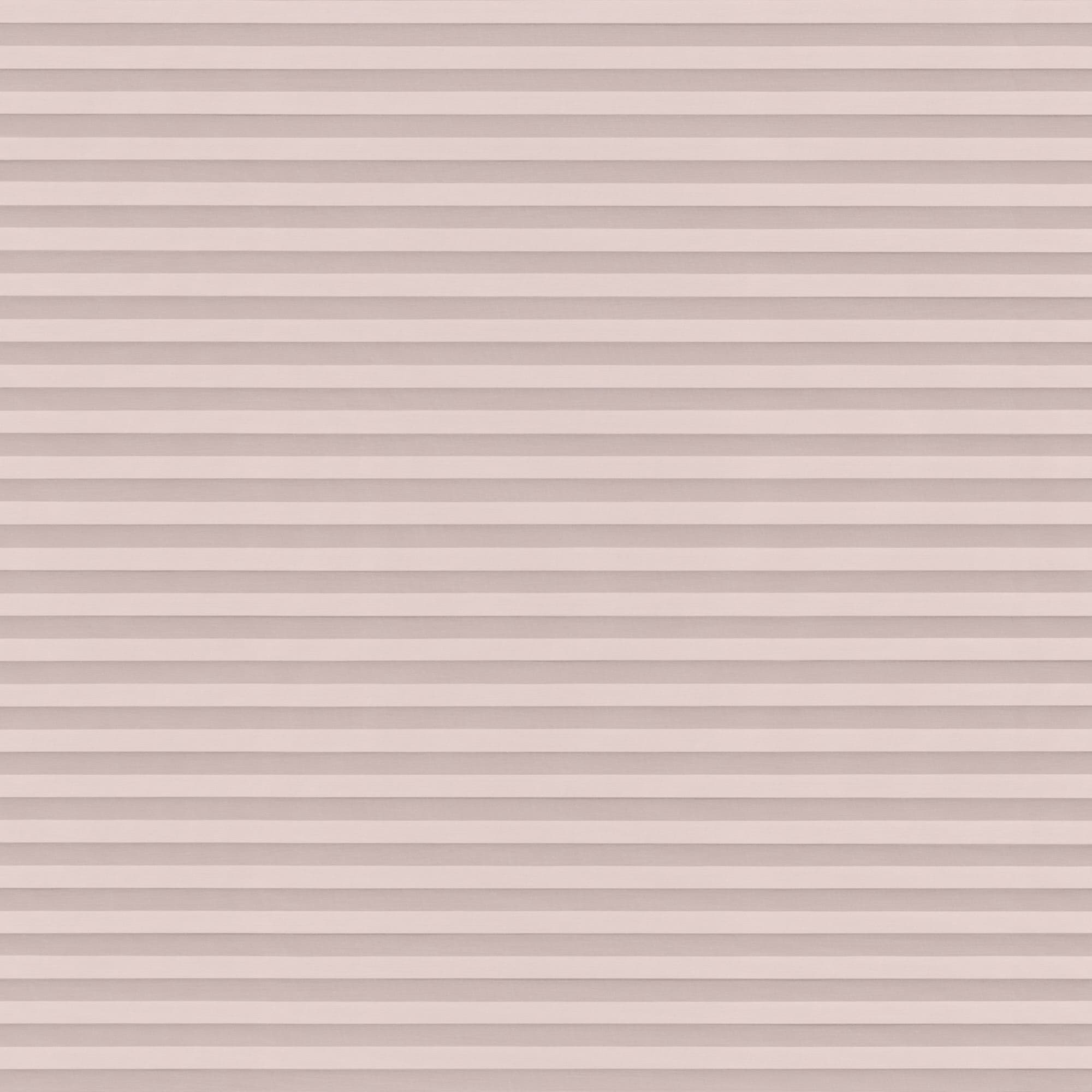 Lumina Sheer Blossom Pleated blind