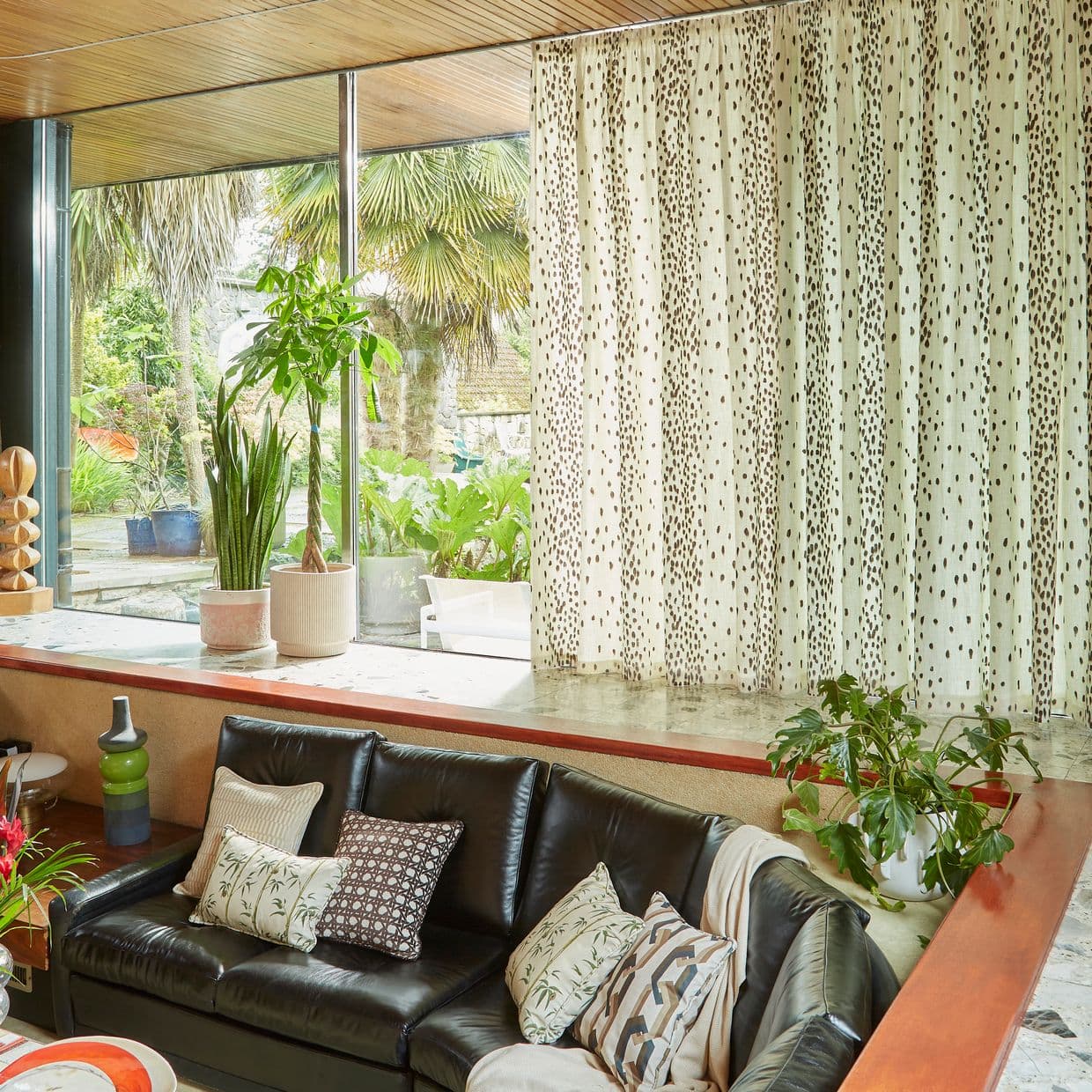 Sheer beige curtains with brown spotted pattern, drawn across the right-side floor-to-ceiling window, filtering daylight into a mid-century living room with a black leather sofa and potted plants.