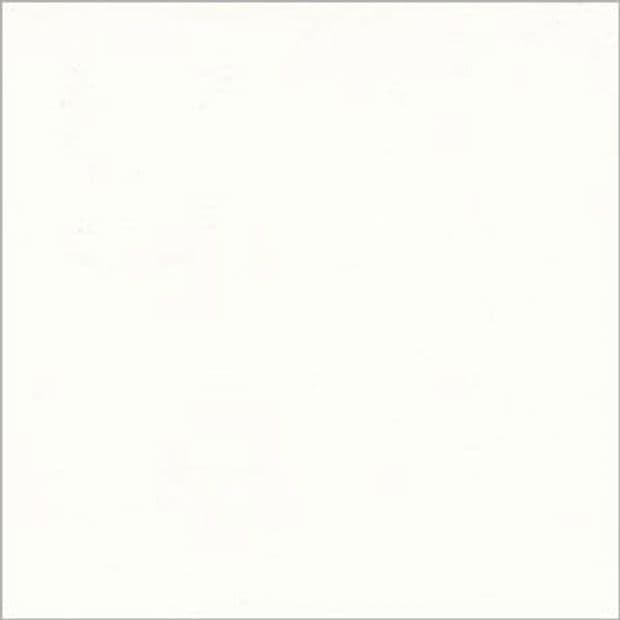 White square panel with a faint gray border centered in frame, blank and uniformly lit, appearing as an empty sheet or canvas against a neutral background.