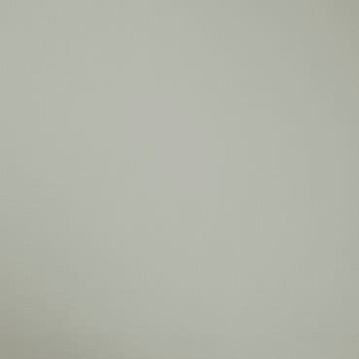 Plain pale gray-green painted wall filling the frame, flat and evenly lit; no visible furniture, fixtures, or windows, suggesting an interior wall under soft, diffuse lighting.