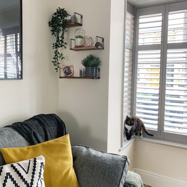 White plantation shutters on a bay window, louvers tilted to filter daylight; living room with gray sofa, yellow cushion, shelves with plants, and a tortoiseshell cat on the sill.