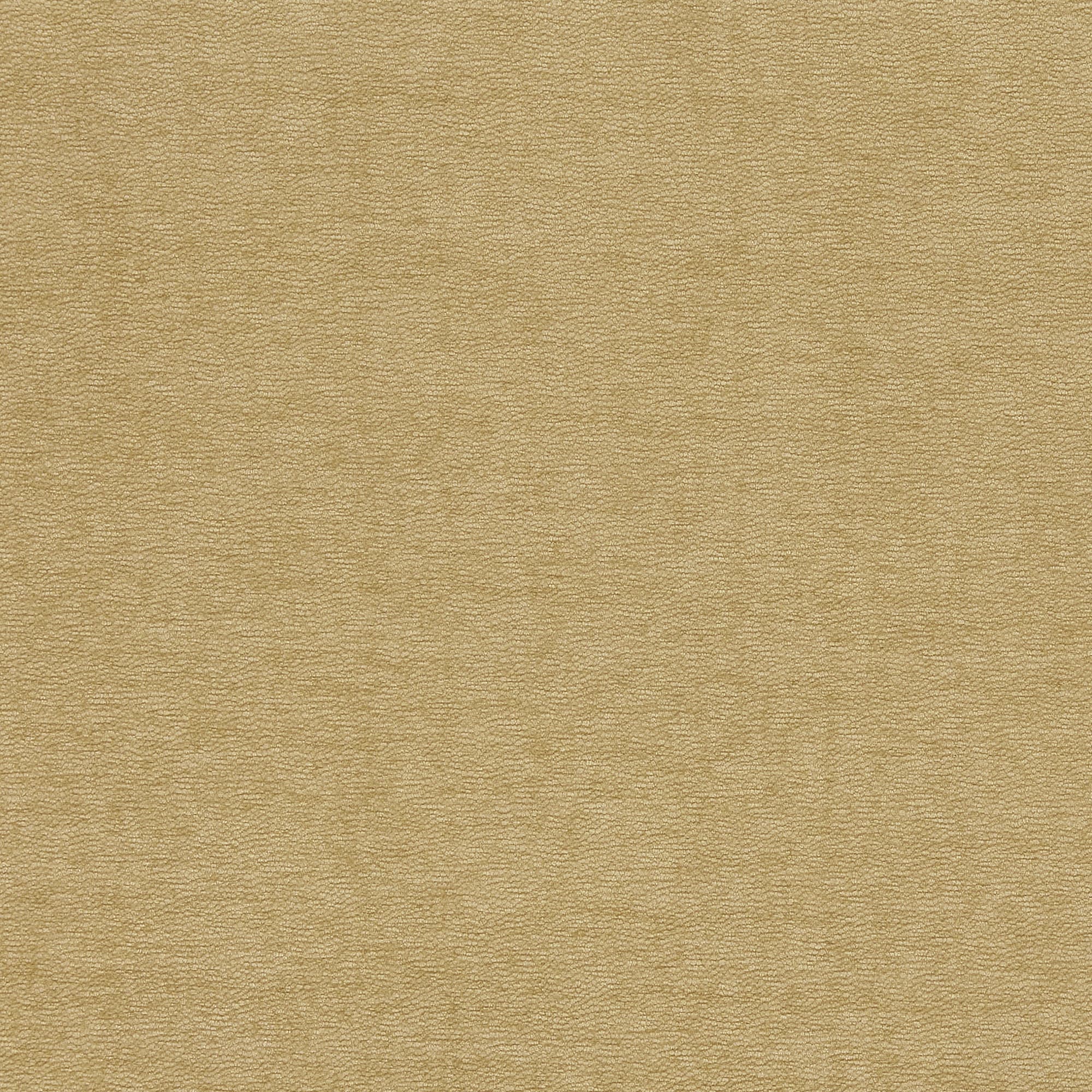Beige textured paper surface occupying the frame; showing subtle horizontal grain and faint creases, lying flat and evenly lit, resembling aged parchment or a fabric backdrop.
