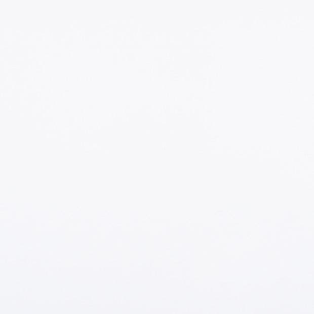 Plain white wall or sheet, smooth and untextured, fills the frame â€” uniformly lit, reflecting soft diffuse light; neutral, featureless background suggesting a minimally lit studio or empty room.