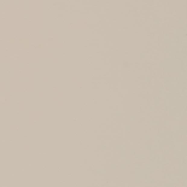 Beige painted wall (smooth, matte) occupying the entire frame, evenly lit and showing slight subtle speckling; close-up view with neutral indoor lighting, minimalistic and featureless.