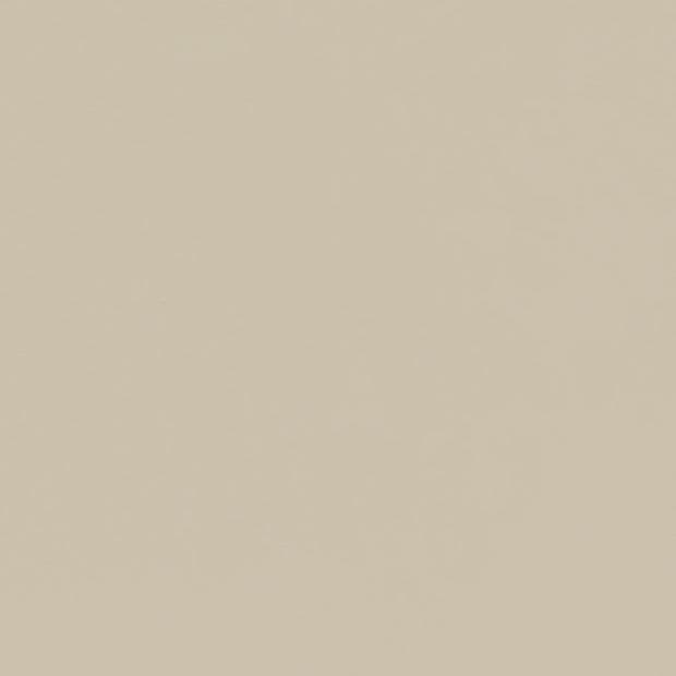 Plain beige wall filling the frame, uniformly colored and untextured, occupying the view; evenly lit minimalist background with no windows, furnishings, or discernible features.