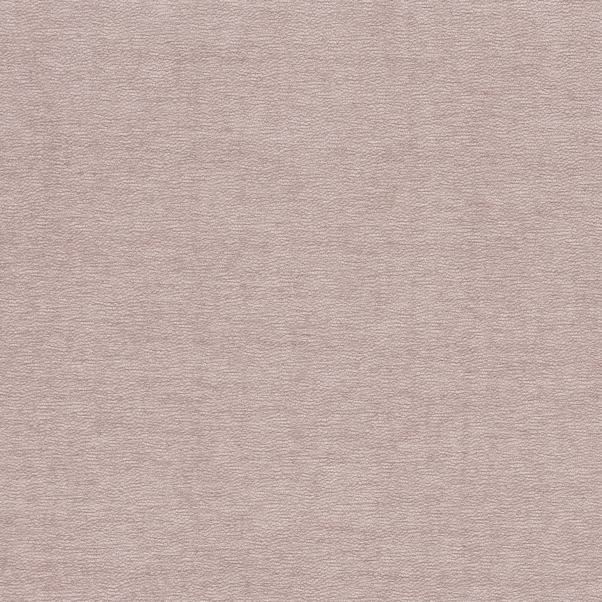 Pale dusty-pink textured surface covering the frame, showing fine pebble-like grain; lies flat and evenly lit, with no visible seams, edges, or other objects.