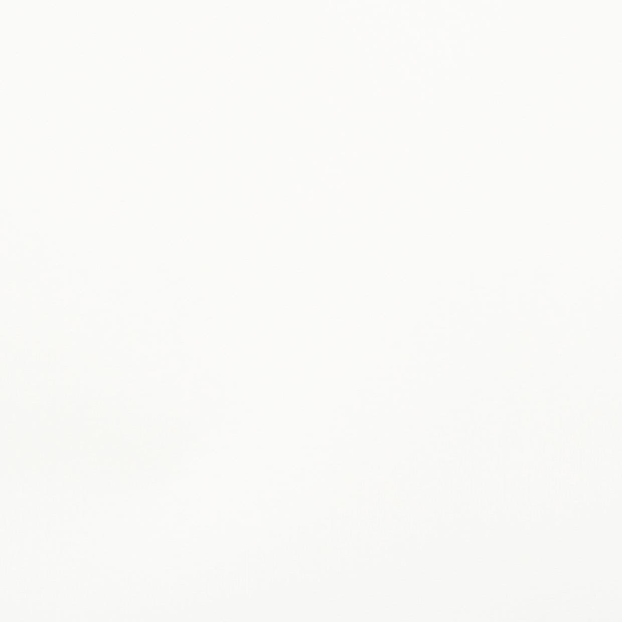 Blank white surface fills the frame, uniformly illuminated, resembling a smooth wall or sheet under diffuse light with no visible features.