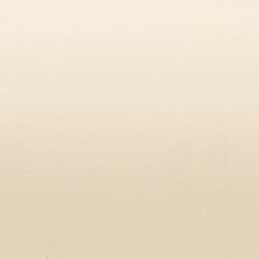 Cream-colored wall with subtle grain and minor scuffs (object), appearing unadorned and uniform (action), evenly illuminated by soft diffuse light, suggesting a neutral indoor surface (context).