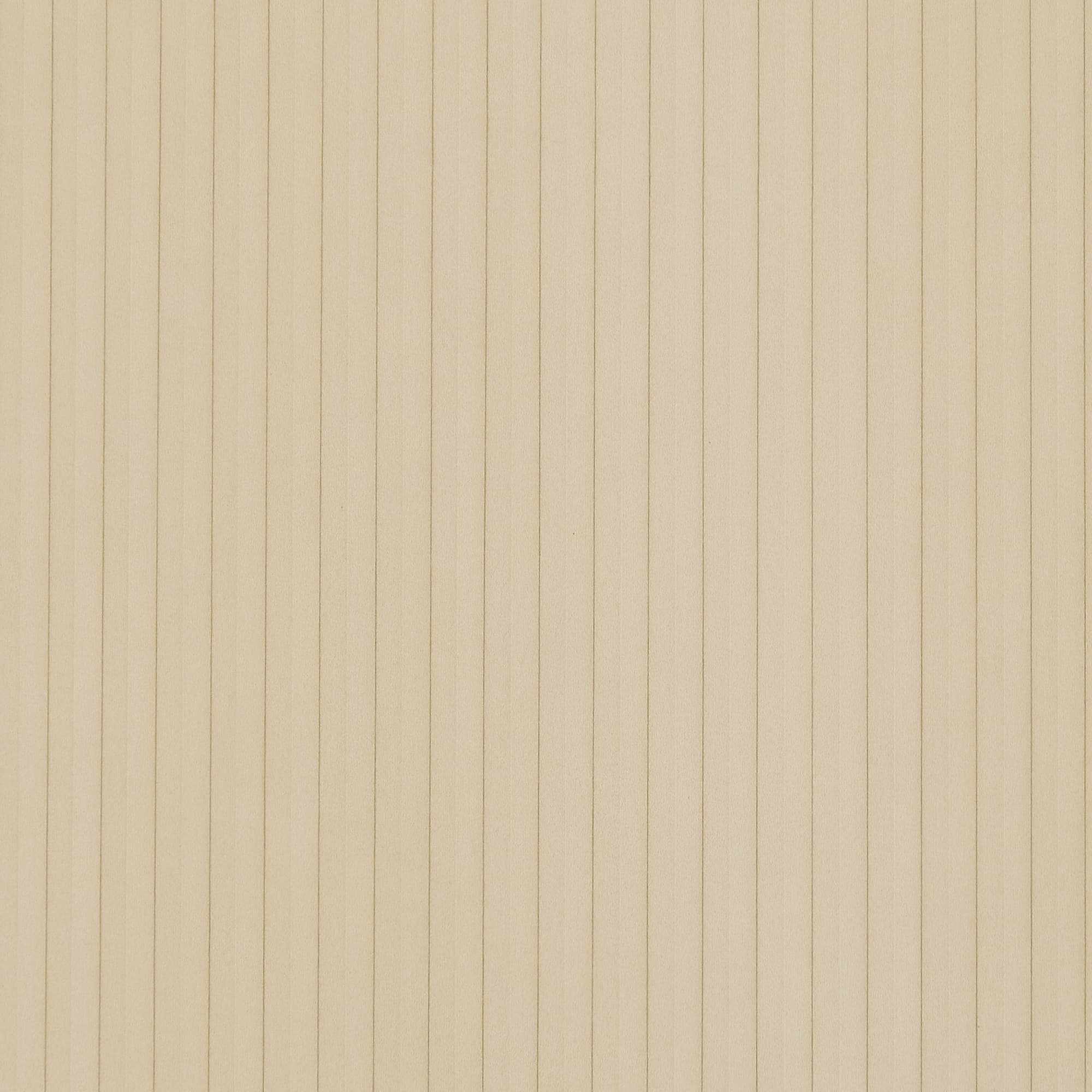 Scene Set Beige Blind Screen 02