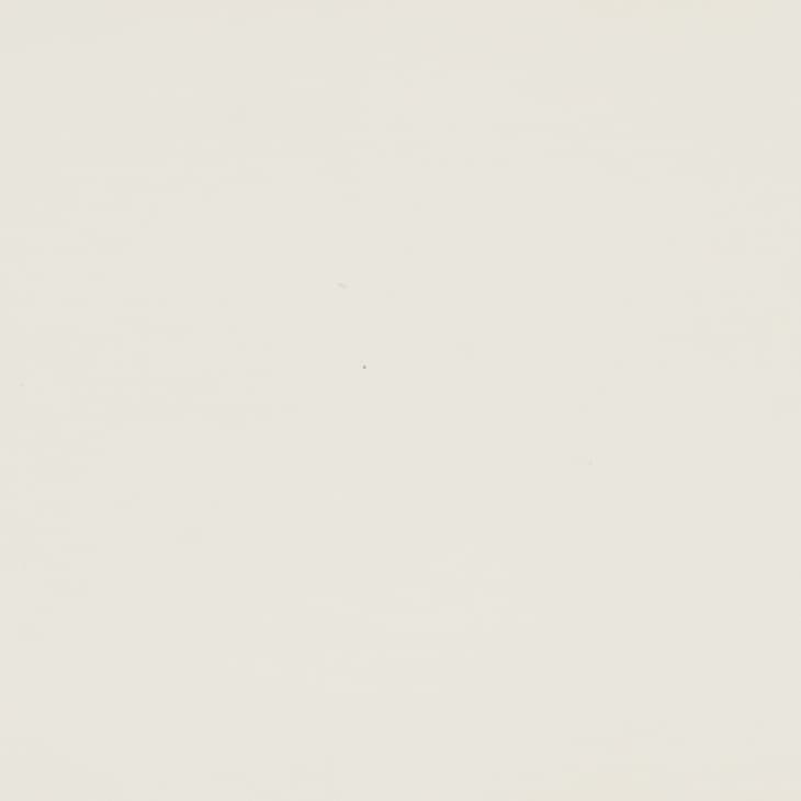 Pale cream wall surface displaying faint specks and subtle texture under soft, diffuse lighting, with no discernible furniture, windows, or other features.