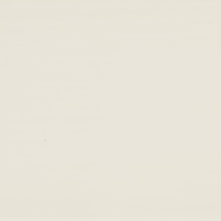 Cream-colored blank wall â€” unadorned and evenly lit â€” soft ambient light reveals very subtle texture and a small dark speck slightly left of center.