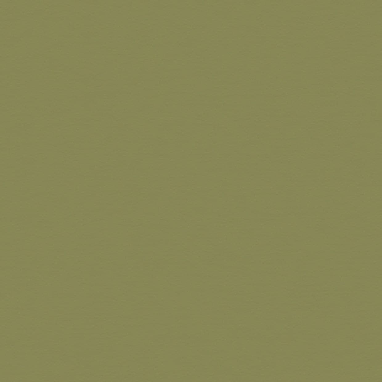 Olive-green textured wall occupying the frame, uniformly lit and stationary; surface shows subtle paper-like grain, filling a neutral interior space with even, diffuse lighting and no visible features.