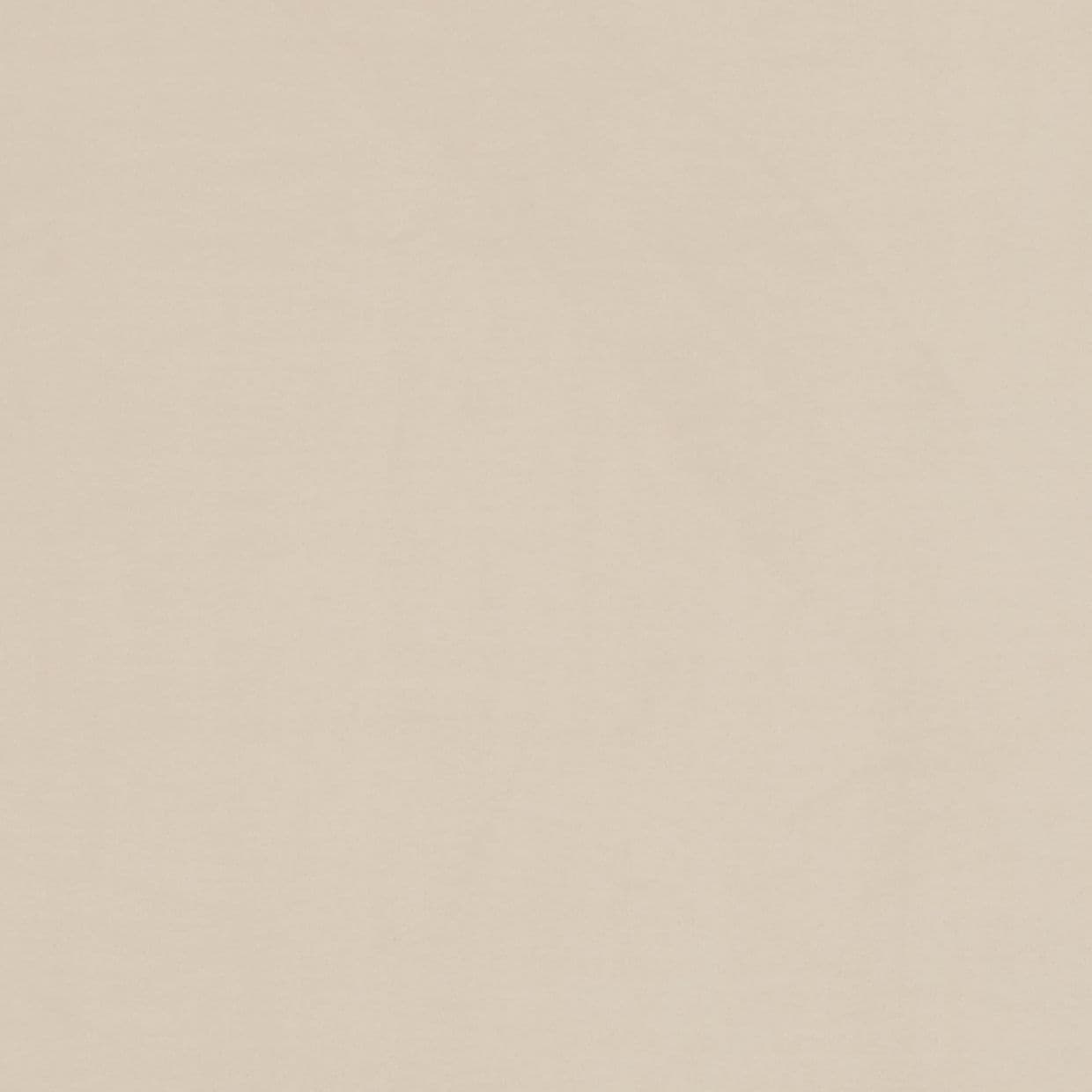 Beige paper-like textured surface with subtle horizontal grain, lying flat and filling the frame; evenly lit, minimal creasing, no distinct objects or shadows.