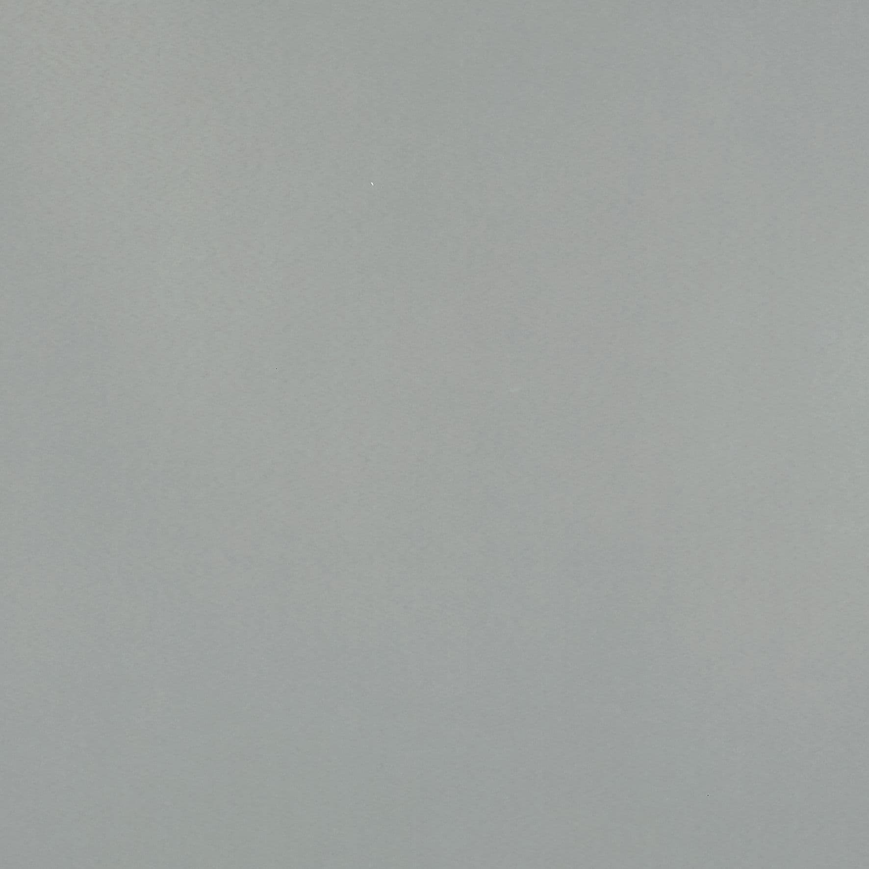 Plain pale gray wall occupying the frame, evenly lit and subtly textured with a small white speck near the top; minimal context, soft diffuse lighting, no visible furniture or windows.