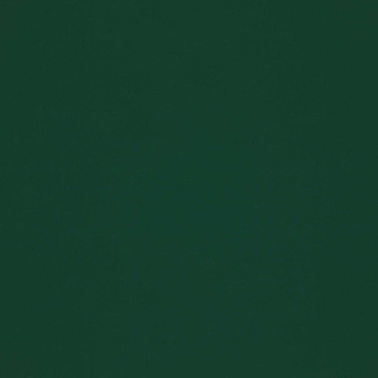 Solid dark green surface filling the frame, uniformly colored and featureless, acting as a flat background under even, low lighting with no visible objects, edges, or texture.