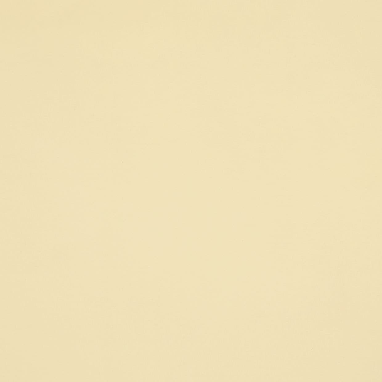 A plain cream-colored wall fills the frame, showing a smooth, slightly textured surface that uniformly reflects soft, diffuse light in a minimally furnished, neutral-lit interior.