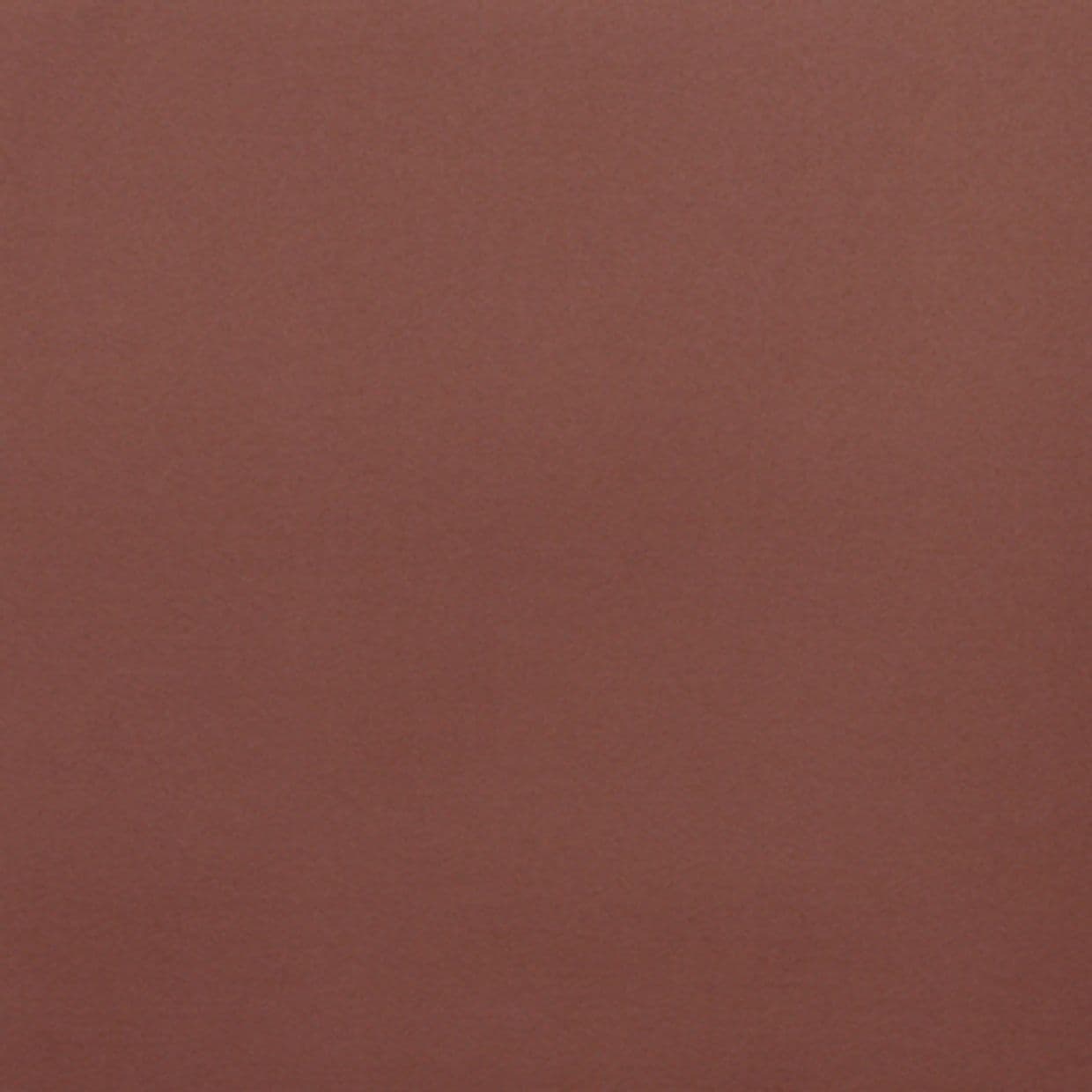 Plain reddish-brown painted wall, smooth and slightly textured â€” filling the frame, evenly lit with soft diffuse light, no visible fixtures or windows, uniform color across the surface.