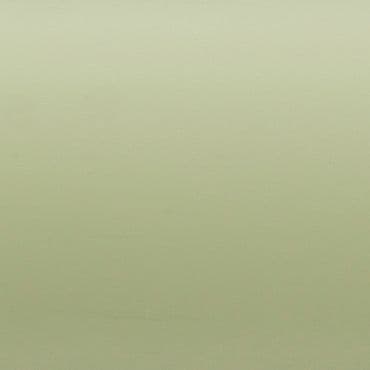 Smooth pale sage-green wall filling the frame, evenly lit and unadorned, serving as a neutral background with soft diffuse lighting and no visible architectural details or furnishings.