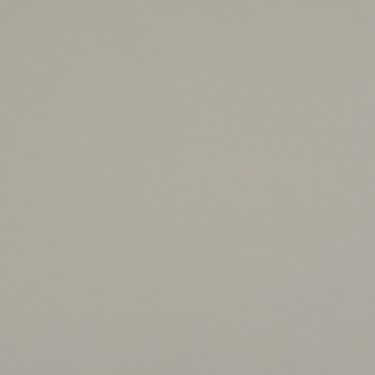 Light gray-beige painted wall â€” fills the frame, unadorned and evenly lit â€” interior surface with subtle texture, soft diffuse lighting, no furniture or windows visible.