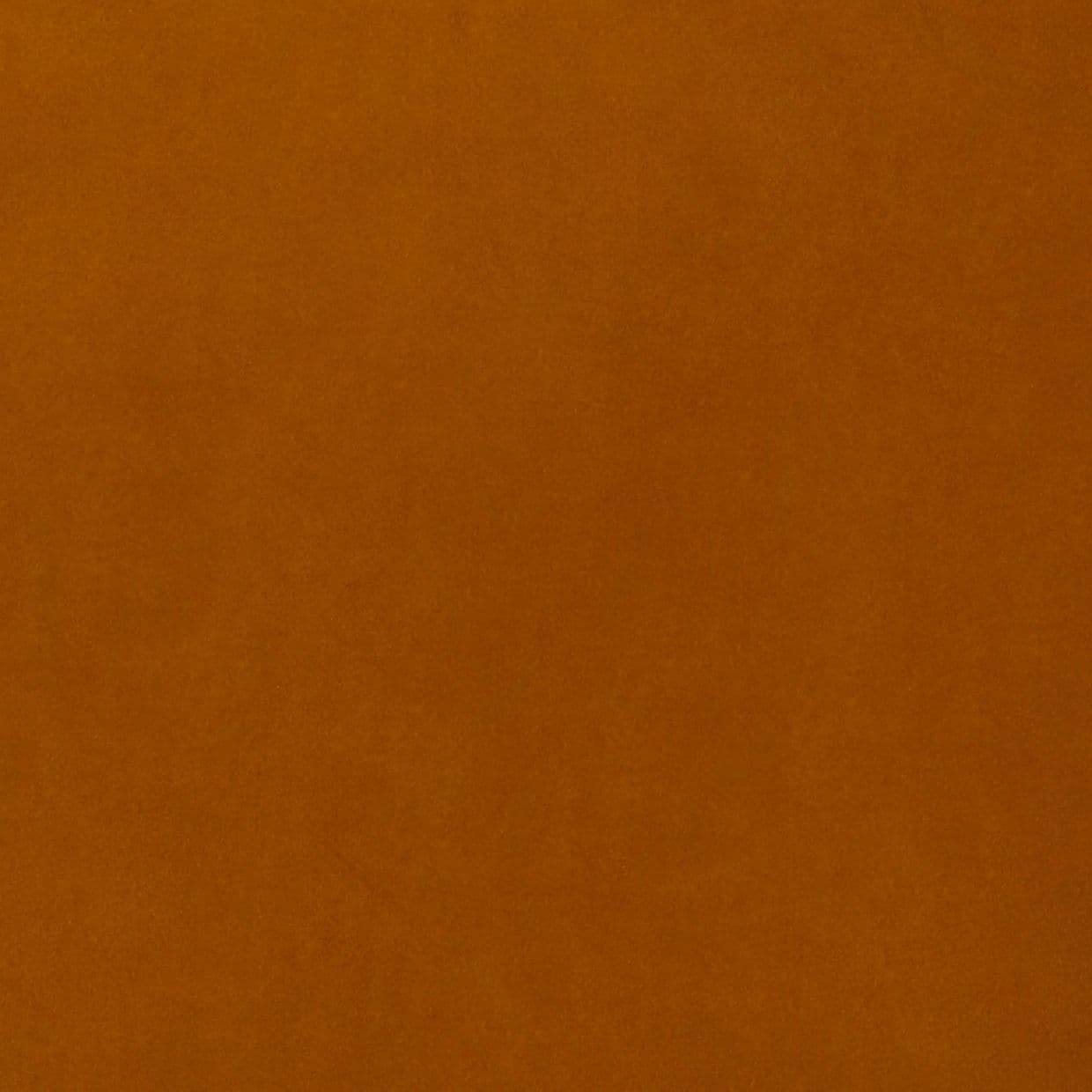Orange-brown textured surface filling the frame â€” static and unbroken â€” evenly lit with slight graininess â€” close-up interior view with no discernible features or objects.