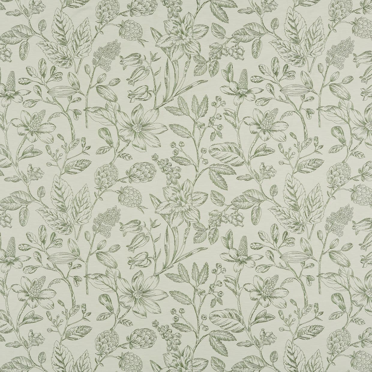 Botanical wallpaper with delicate oliveâ€‘green line drawings of flowers and leaves â€” repeating continuously across the surface â€” on a soft, neutral pale background in a vintage sketch style.