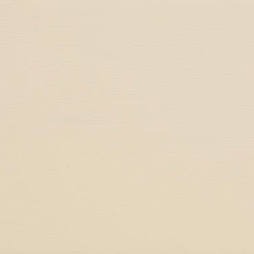 Beige textured wall displaying subtle horizontal, paper-like grain, appearing uniformly lit and flat, serving as a neutral background in soft, warm, diffuse lighting.